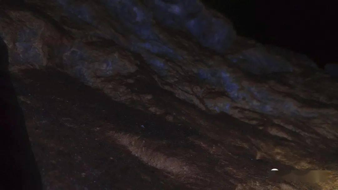 史小坑的爆笑生活11